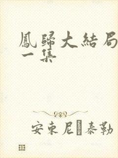 凤归大结局最后一集
