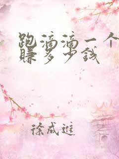 跑滴滴一个月能赚多少钱