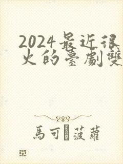 2024最近很火的台剧双男主