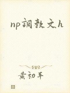 np调教文h np调教文h