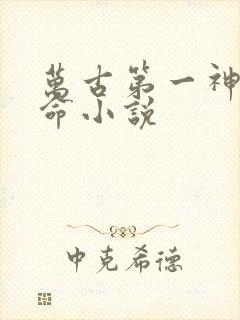 万古第一神李天命小说