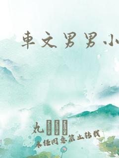 车文男男小说