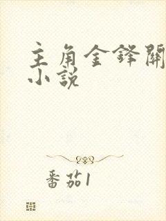 主角金锋关晓柔小说