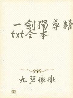 一剑独尊精校版txt全本