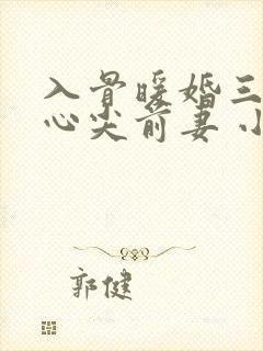 入骨暖婚三爷的心尖前妻 小说