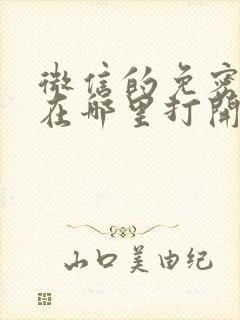 微信的免密支付在哪里打开