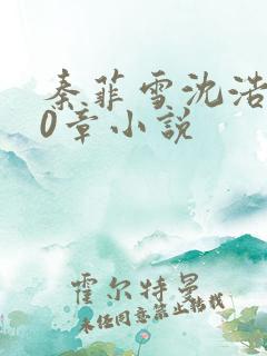 秦菲雪沈浩400章小说 秦菲雪沈浩400章小说