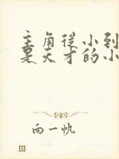 主角从小到大都是天才的小说