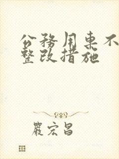 公务用车不规范整改措施
