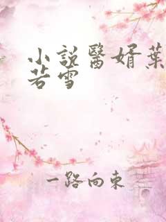 小说医婿叶凡唐若雪