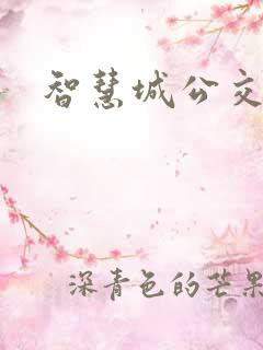 智慧城公交站牌
