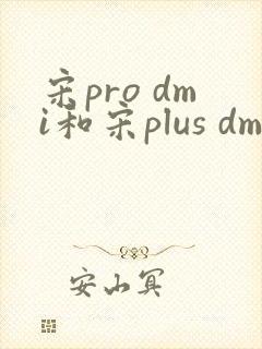宋pro dmi和宋plus dmi 宋pro dmi和宋plus dmi
