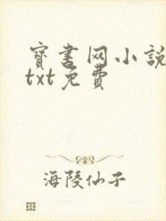 宝书网小说下载txt免费
