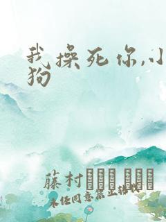 我操死你,小母狗