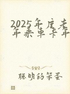 2025年度老年乘车卡年审