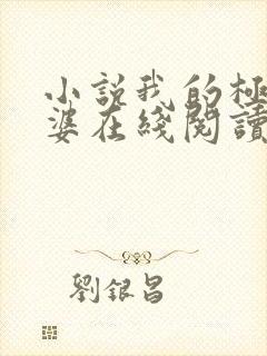 小说我的极品老婆在线阅读全文