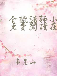 全职法师小说 免费阅读在线