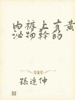 内裤上有黄色分泌物干的