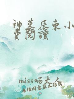 神墓辰东小说免费阅读