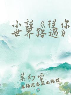 小说《从你的全世界路过》