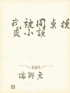 我被同桌摸的好爽小说