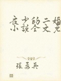 夜少的二婚新妻小说全文免费阅读