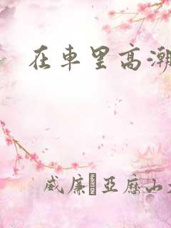 在车里高潮