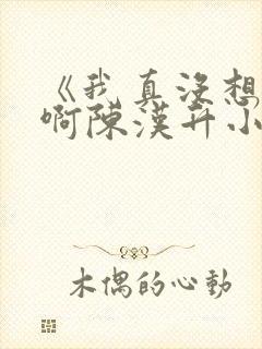 《我真没想重生啊陈汉升小说》