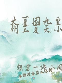 大夏国九皇子荒州王夏天小说 大夏国九皇子荒州王夏天小说