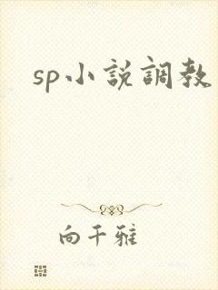 sp小说调教文