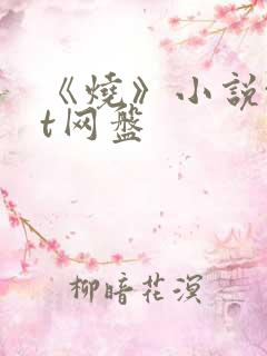 《烧》小说txt网盘