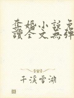 夺婚小说免费阅读全文无弹窗