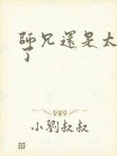师兄还是太稳健了