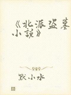 《北派盗墓笔记小说》