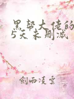黑帮大佬的365天未删减