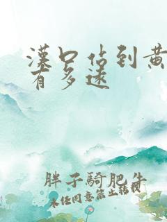 汉口站到黄鹤楼有多远