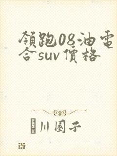 领跑08油电混合suv价格