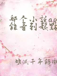 哪个小说app能看到起点的书