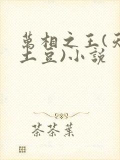 万相之王(天蚕土豆)小说