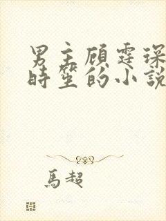 男主顾霆琛女主时笙的小说