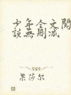 少年全文阅读小说无删减