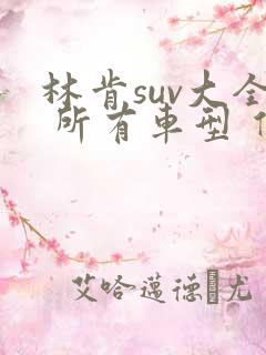 林肯suv大全 所有车型 价格 报价黑色