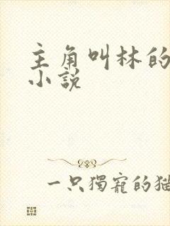 主角叫林的穿越小说 主角叫林的穿越小说