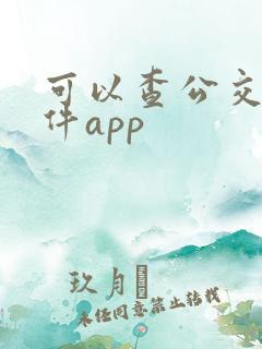 可以查公交的软件app