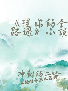 《从你的全世界路过》小说