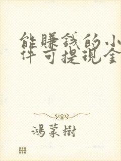 能赚钱的小说软件可提现金到微信 能赚钱的小说软件可提现金到微信