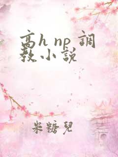高h np 调教小说