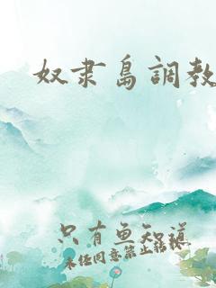 奴隶岛调教