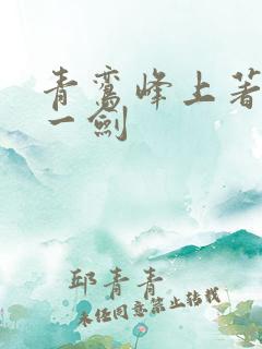 青鸾峰上著我有一剑