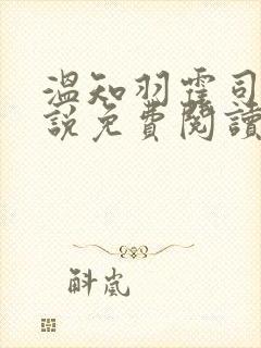 温知羽霍司砚小说免费阅读正版